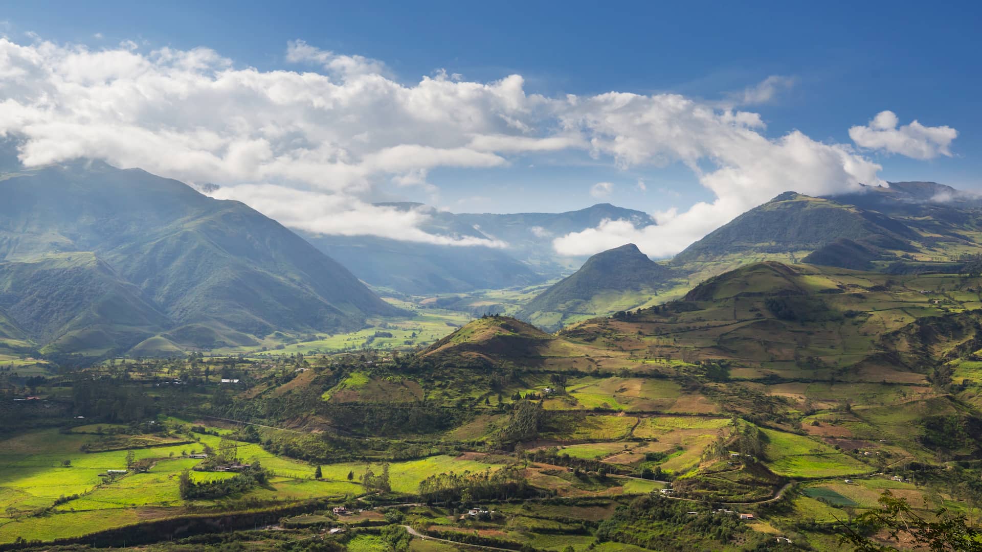 ECUADOR 1