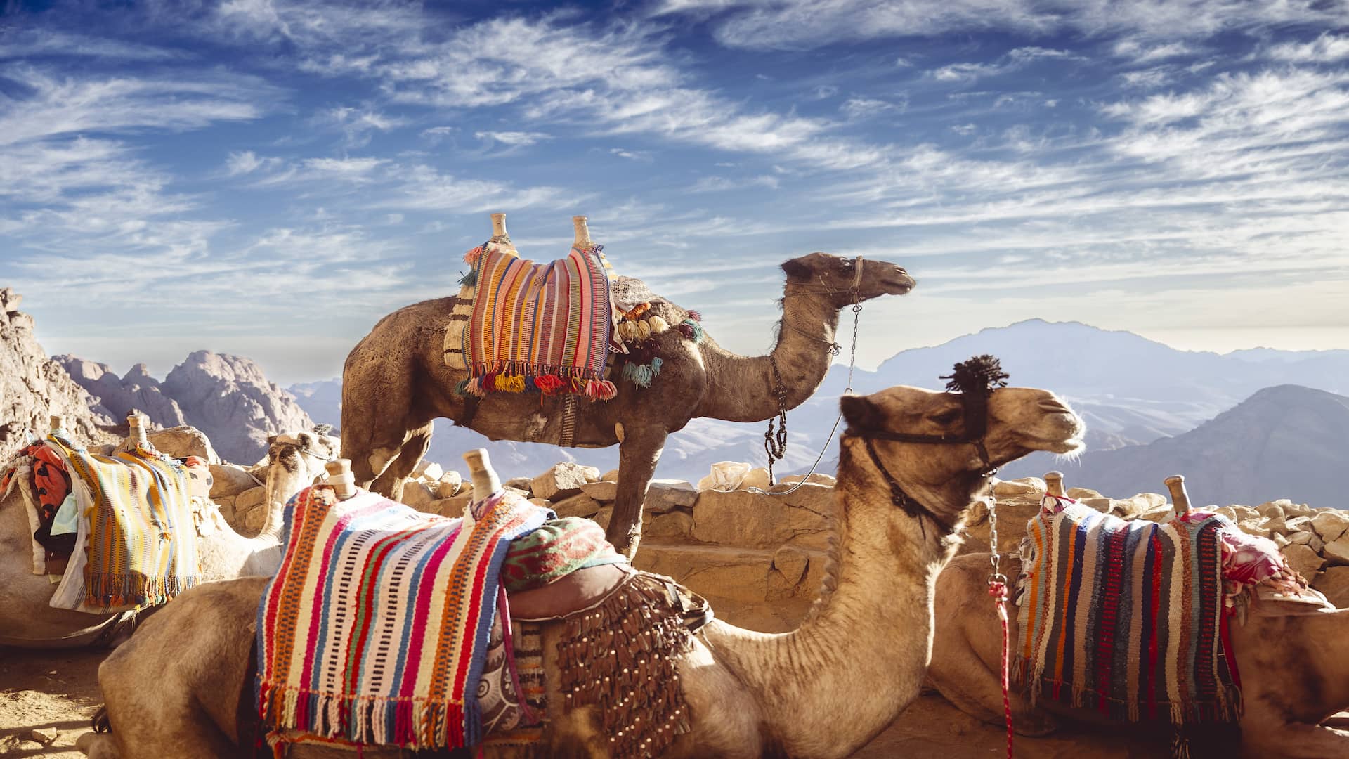marrucos con madrid portada