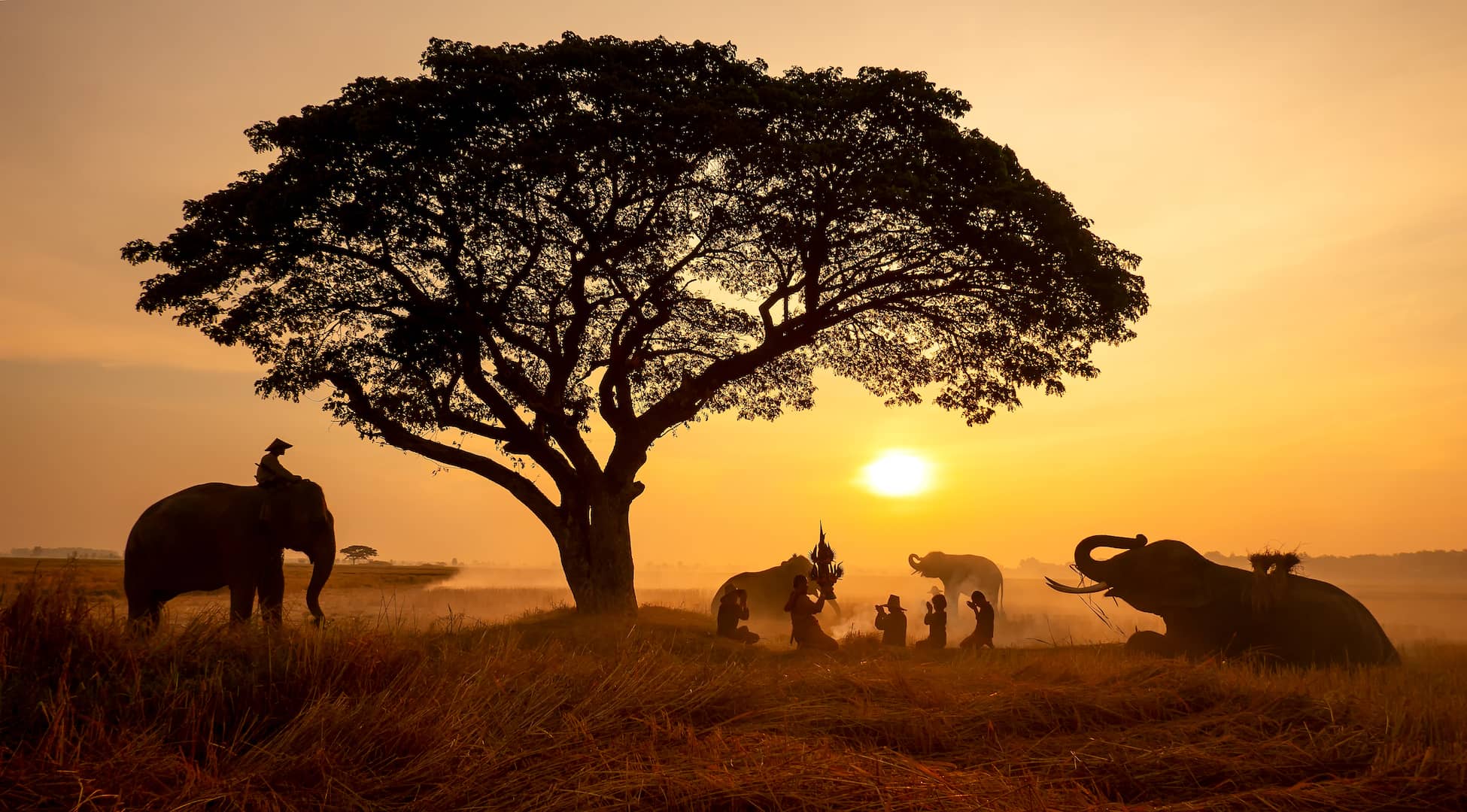 sudafrica con turismo cero